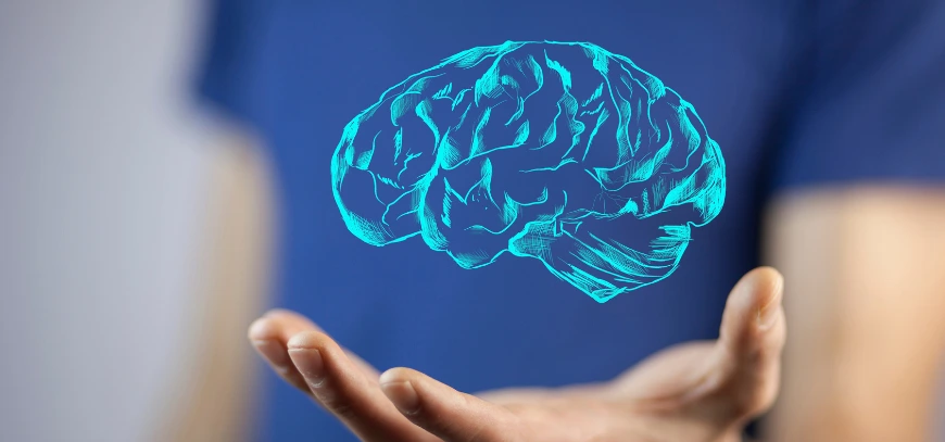 Brain Stroke Prevention & Recovery